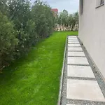 Rbk